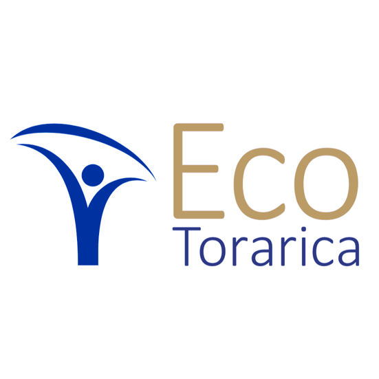 logo eco - NV Novoteqnica - wifi IT ICT Suriname