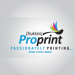 Project Pro Print IT support CPP